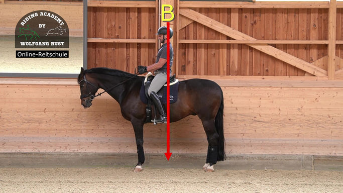 F69 Übergänge am Punkt reiten lernen. Punktgenaues reiten in Dressurprüfungen. Pferde richtig reiten